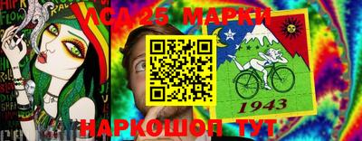 spice Кимры