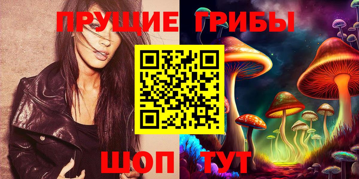 Ярославль  Псилоцибиновые грибы Cubensis  Вход с VPN 